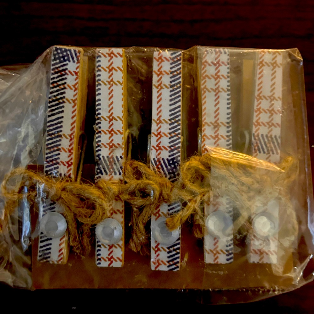 5 Clothes Pin Magnets